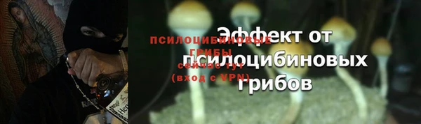 MESCALINE Кинешма